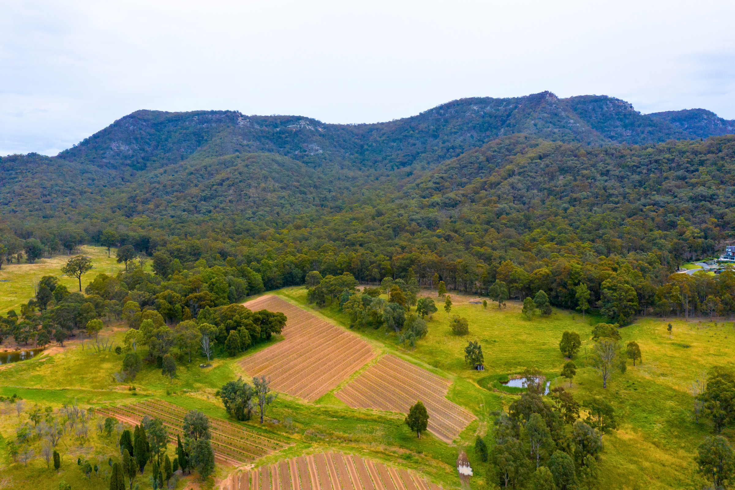 hunter valley region, new south wales.webp
